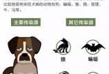 病死率幾乎為100%的病，可預(yù)防！