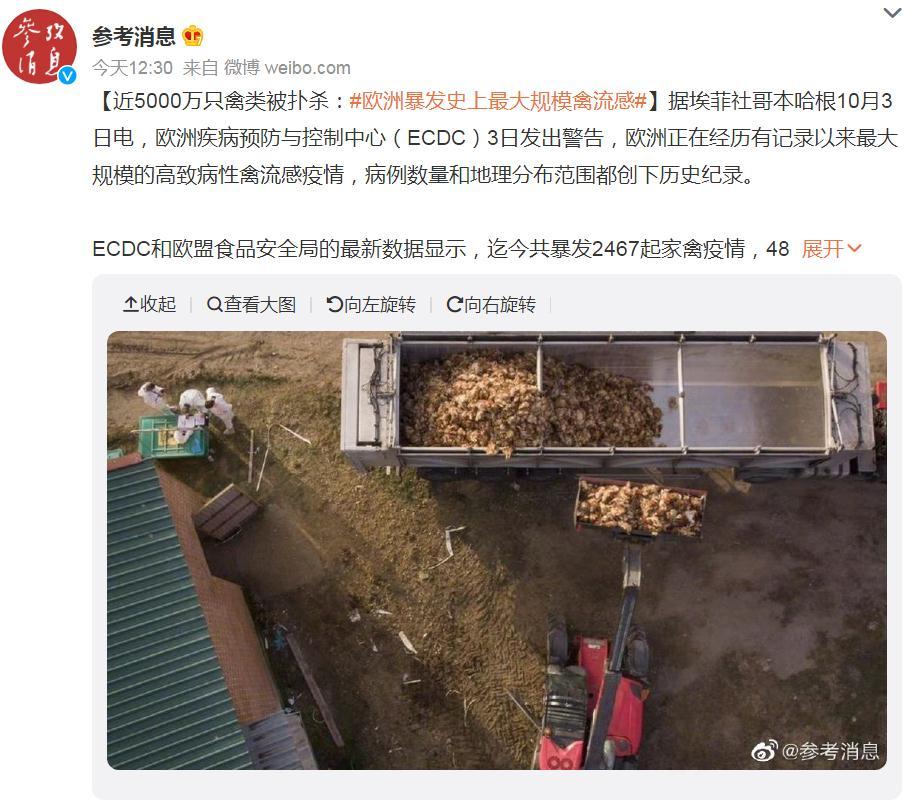 關(guān)注！歐洲暴發(fā)史上最大規(guī)模禽流感，波及37個國家！近5000萬只禽類被撲殺，蛋價會上漲么？