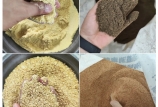飼料原料驗收的“望、聞、問、切” 飼料原料驗收的“望、聞、問、切”